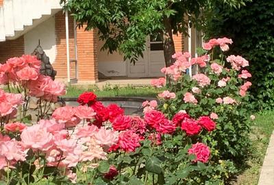 Teren intravilan de 490000 mp, în Iancu Jianu - 22