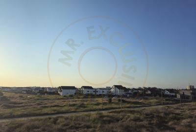 Casa lux - 2025 - Pitesti, Prelungirea Craiovei - 6