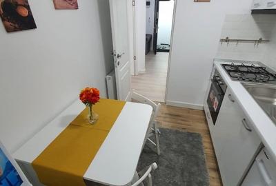 Apartament cu 2 camere semidecomandat, mobilat în Parcul Carol - 8