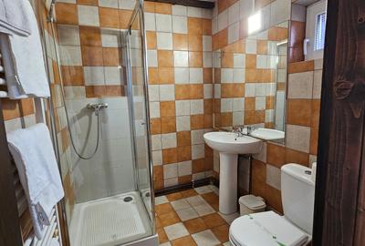 Pensiune + 2 Case, Piscina, Iaz, Garaj, Curte 3.200 mp, panouri |VIDEO - 22