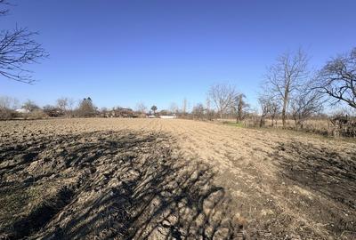 Casă cu 4 camere în Filipeștii de Târg - 4