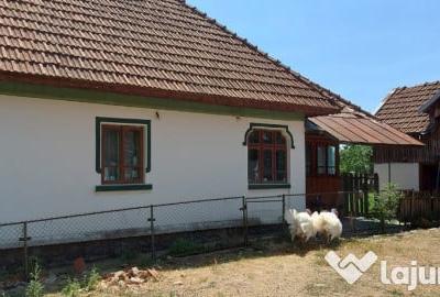 Casă cu 3 camere cu Teren 1583 Mp în Polovragi - 3