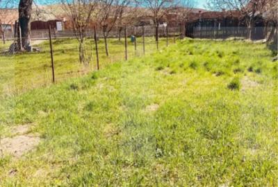 Casă cu 2 camere cu Teren 793 Mp în Bodoc - 5