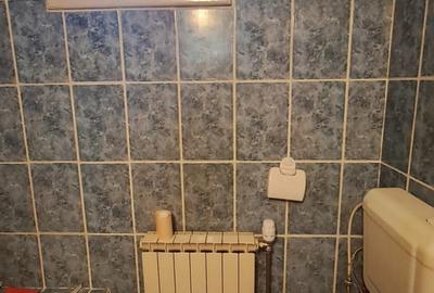 CASA cu anexa si spatiu comercial – de vanzare in BEIUS - 27