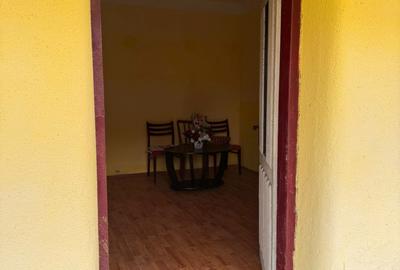 Casă cu 3 camere în Șoard - 7