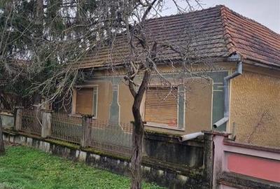 RECO Casa batraneasca cu teren generos in localitatea Tria - 1