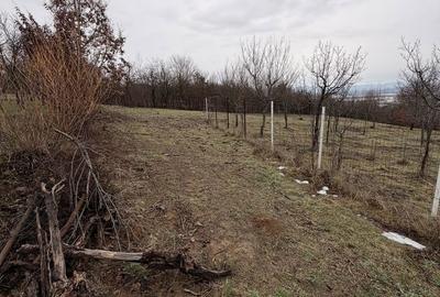 Spațiu comercial, în Buzești - 2