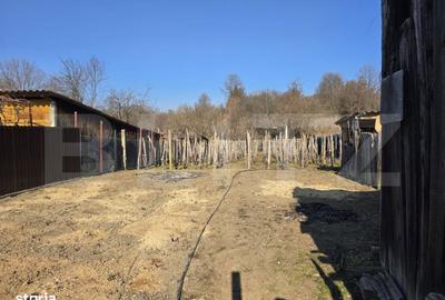 Casă cu 2 camere în Drăgoeni - 3