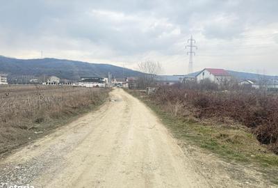 Spațiu comercial, în Viforâta - 14