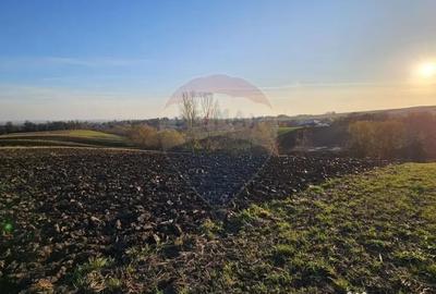 Teren de 6100 mp, în Stroiești - 8