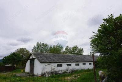 Teren 10,941mp Sighetu Marmatiei / Strada Faget Teren 10,941mp Sighetu Marmatiei / Strada Faget - 3