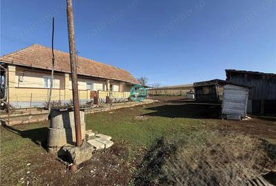 Casa cu teren de 5400 mp intravilan de vanzare, loc. Dileu Vechi - 3