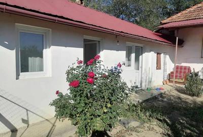 Casă individuală cu 3 camere cu Teren 8567 Mp în Bumbești-Pițic - 3