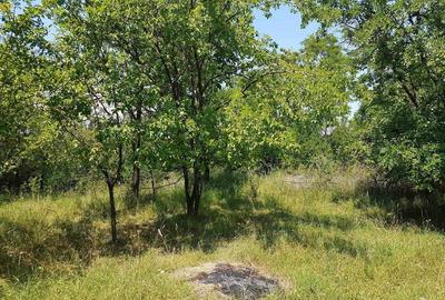 Teren de 800 mp, în Ungurei - 5
