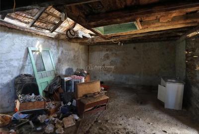 Casă cu 2 camere cu Teren 1439 Mp în Brădișoru de Jos - 8