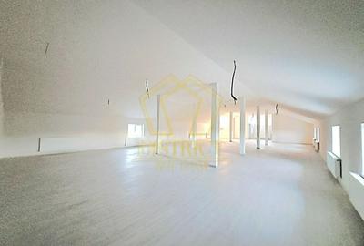 Spatiu Comercial tip Hala I Giroc - 13