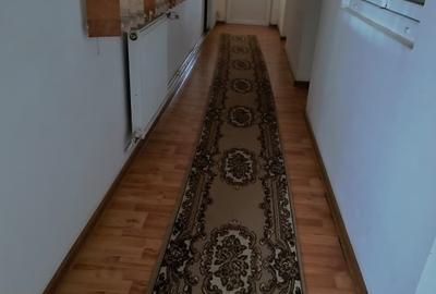 Casă individuală cu 4 camere cu Teren 3653 Mp în Vadu Părului - 16