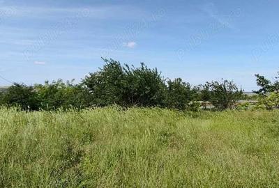 Teren de 925 mp, în Berceni - 5