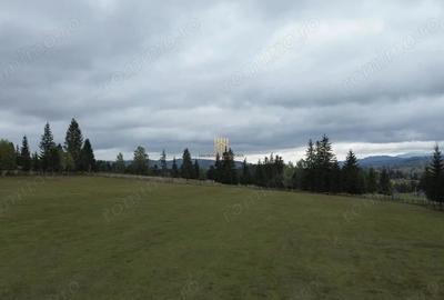 Teren de 16813 mp, în Fundu Moldovei - 8