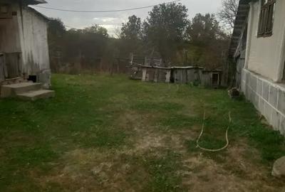 Vand casa batraneasca - 7