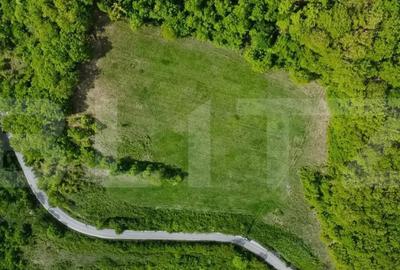 Teren de 13860 mp, în Central - 5