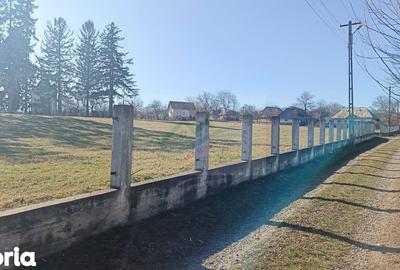 Teren de 4700 mp, în Brusturi - 1