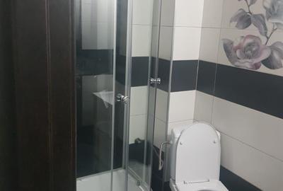 Apartament cu 2 camere decomandat în Șelimbăr - 3