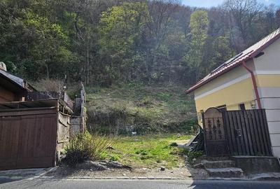 Teren Construcții intravilan de 850 mp, în Centrul Istoric - 3