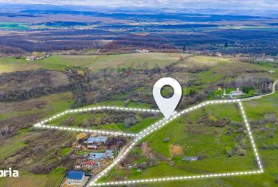 Teren de 33500 mp, în Bucov - 9