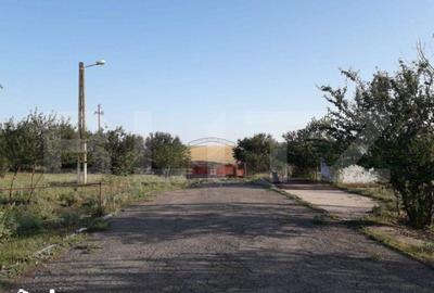 Teren de 950000 mp, în Iosefin - 1