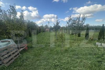 Casă cu 6 camere cu Teren 900 Mp în Central - 2