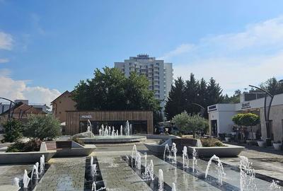 Spațiu comercial, de 10 mp, în Băile Felix - 1