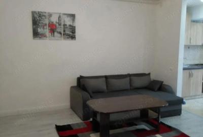 Apartament cu 2 camere decomandat în Timișoara - 7