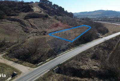 Spațiu comercial, în Moșna - 19