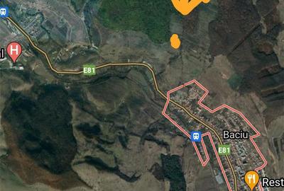 Teren de 11600 mp, în Baciu - 2