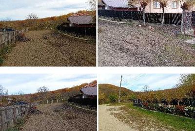 Teren de 678 mp, în Călinești - 7