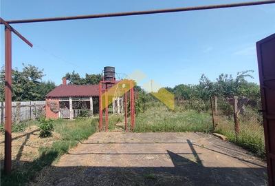 Casa de vanzare zona Aradul Nou - 14