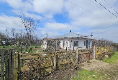 Casă cu 4 camere cu Teren 2170 Mp în Nucetu - 6