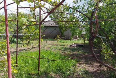 Casă în Central - 2