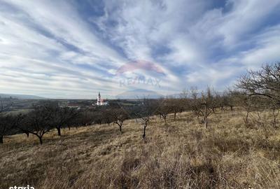 Teren de 10000 mp, în Moldovenești - 3