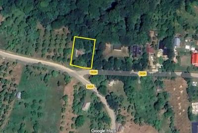 Teren de 1000 mp, în Bradu