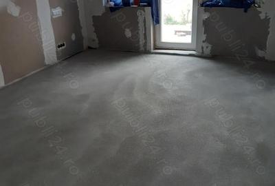 Casă cu 3 camere cu Teren 1501 Mp în Micula - 2