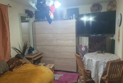Casa pe malul lacului Paleu teren 510 mp - priveliste deosebita - 15