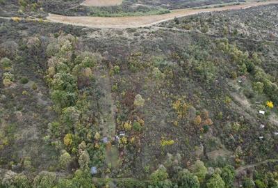 Teren 18,300mp Ghioroc - 4