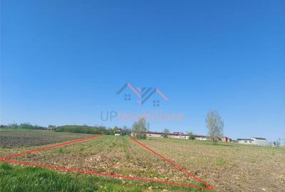 TEREN INTRAVILAN | 4300 MP | HIDISELUL DE SUS | BIHOR - 7