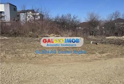 Teren de 909 mp, în Trivale - 4