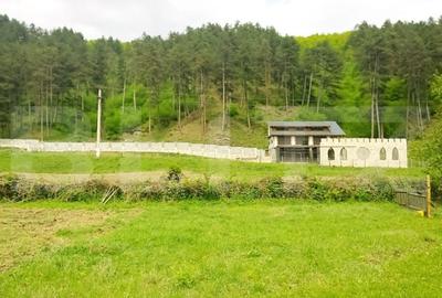 Casa individuala la rosu, 247 mp, teren 5000 mp in Surduc - 3