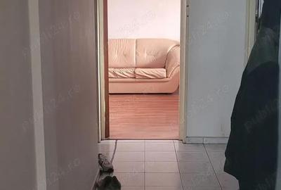 Apartament cu 4 camere decomandat în Chișinau - 3