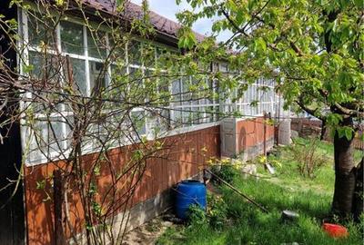 Casă cu 3 camere în Burlești - 6