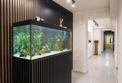 Apartament cu 2 camere semidecomandat în Dămăroaia - 3